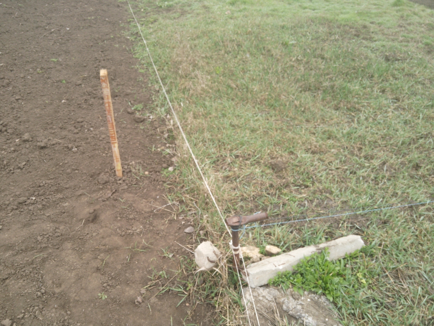 Что бы Вы сделали, если бы Ваш новый сосед, вбил колышки в Вашем огороде, вместе с кадастровым инженером? Как я понял, он хочет захватить от нашего...