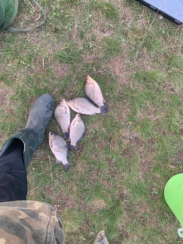 Любовь к рыбалке мне привил мой отец еще в детстве, а ловить рыбу я люблю и сейчас мой первый улов в этом 2024 году. Наконец-то вырвался!