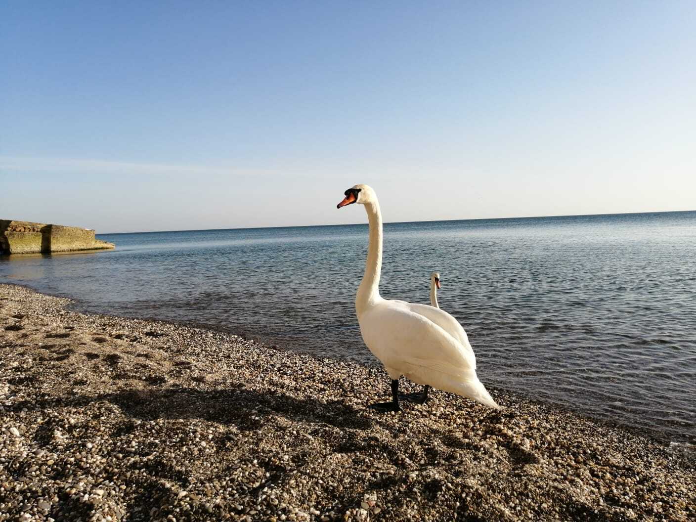🌞🌞🌞Путешествие в прошлое. Поездка в Крым, которая навевает хорошие воспоминания🌞🌞🌞