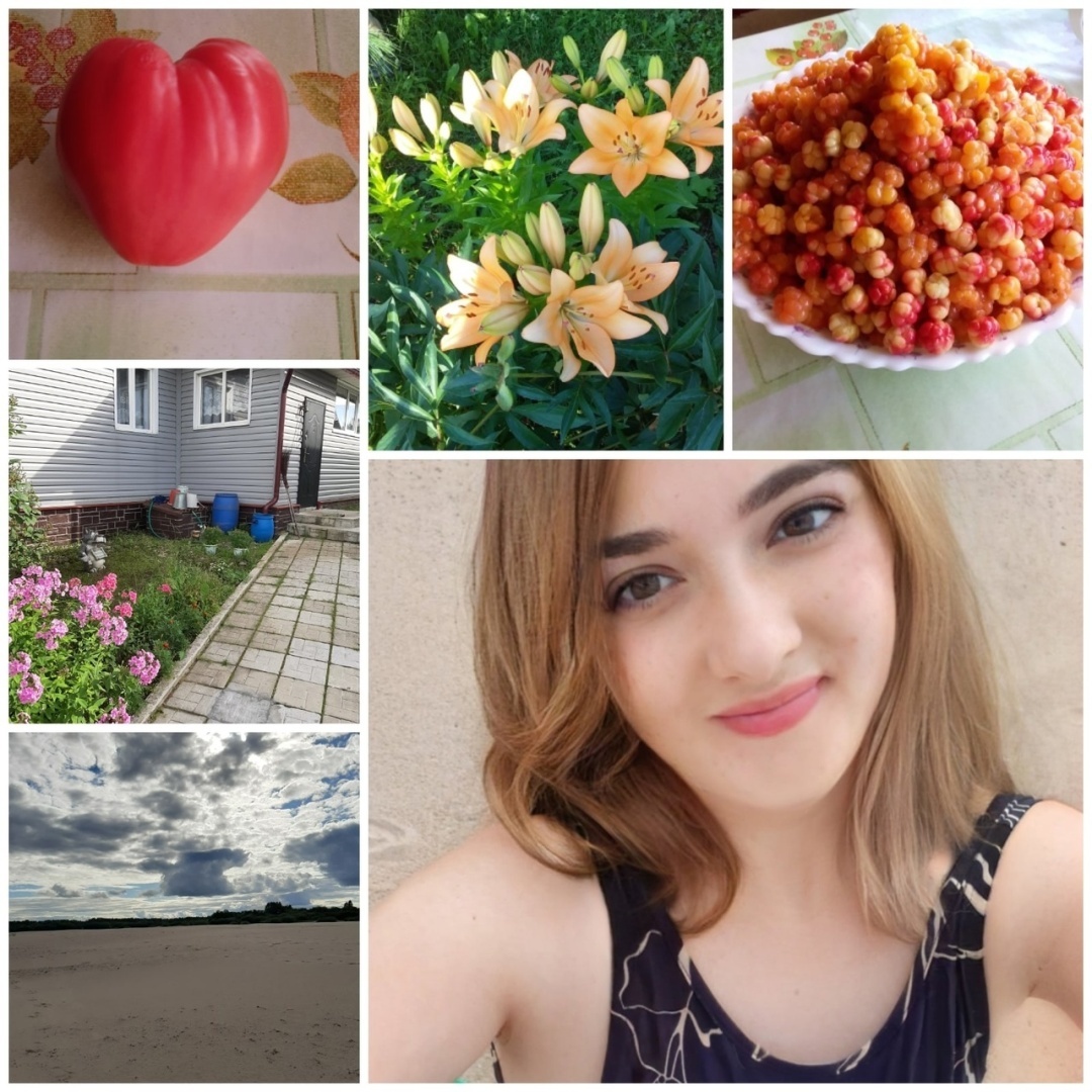 Что можно вырастить на своем земельном участке: красота и польза. Мой личный опыт.