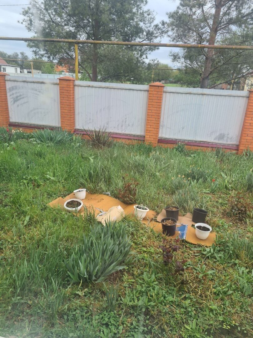 Как впихнуть в пятничный график много важных дел?