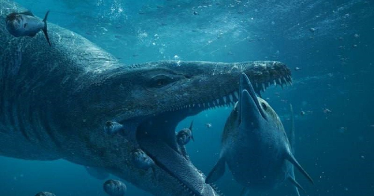 В Великобритании найдена окаменелость Доисторического морского чудовища