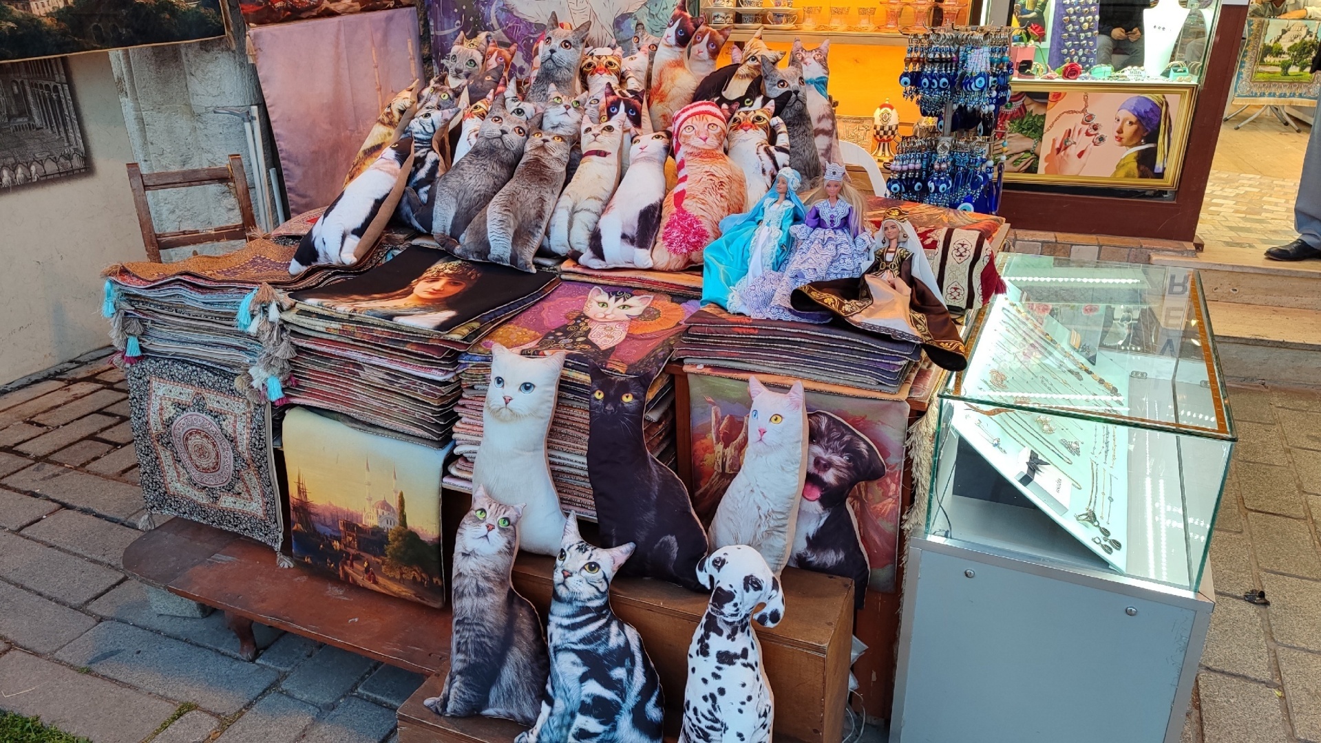 Турция - настоящий рай для собак и кошек!