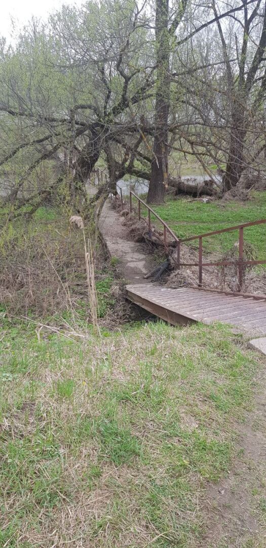 Вы никогда не задумывались почему мы подсознательно выбираем тех, кто похож на наших родителей?