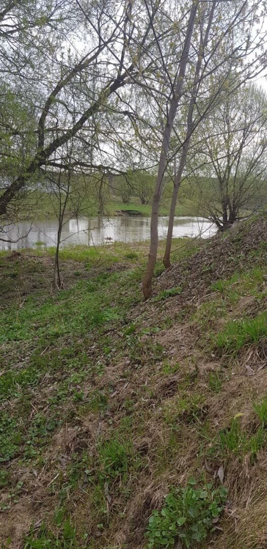 Вы никогда не задумывались почему мы подсознательно выбираем тех, кто похож на наших родителей?