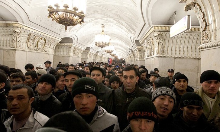 Эхо Крокуса.