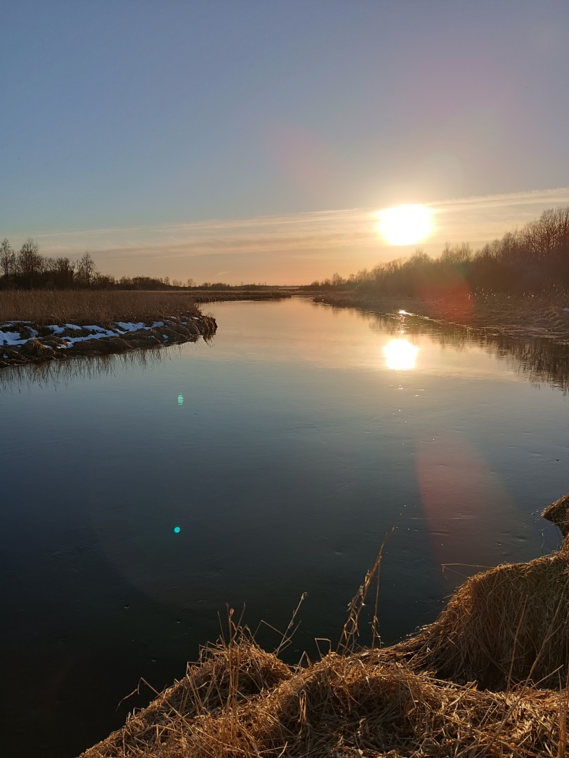 Человек располагающий / Часть первая/Теория вероятности (?)