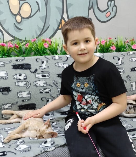 Открыли котокафе. Кафе для тех, кто очень любит котиков. Кототерапия в чистом виде