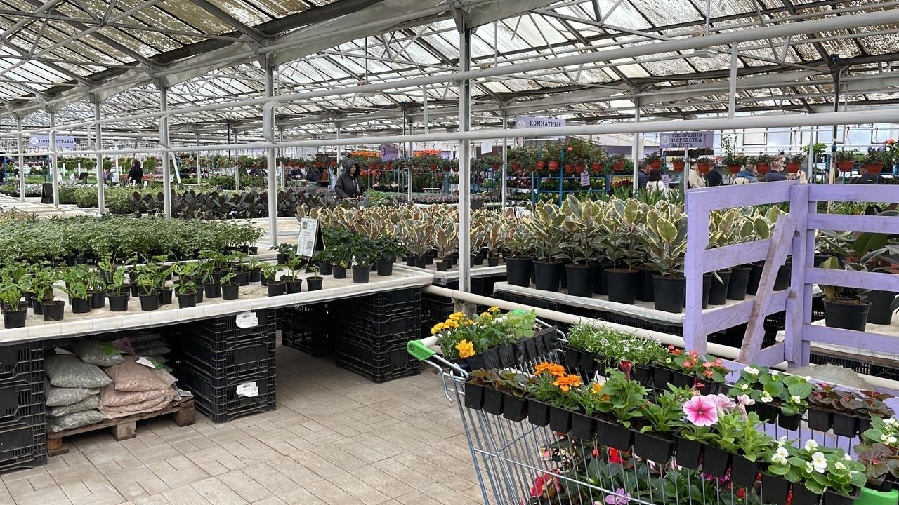 Юристы не только ходят в суд и готовят документы: вчера муж пригласил меня на свидание в необычное место. Фото