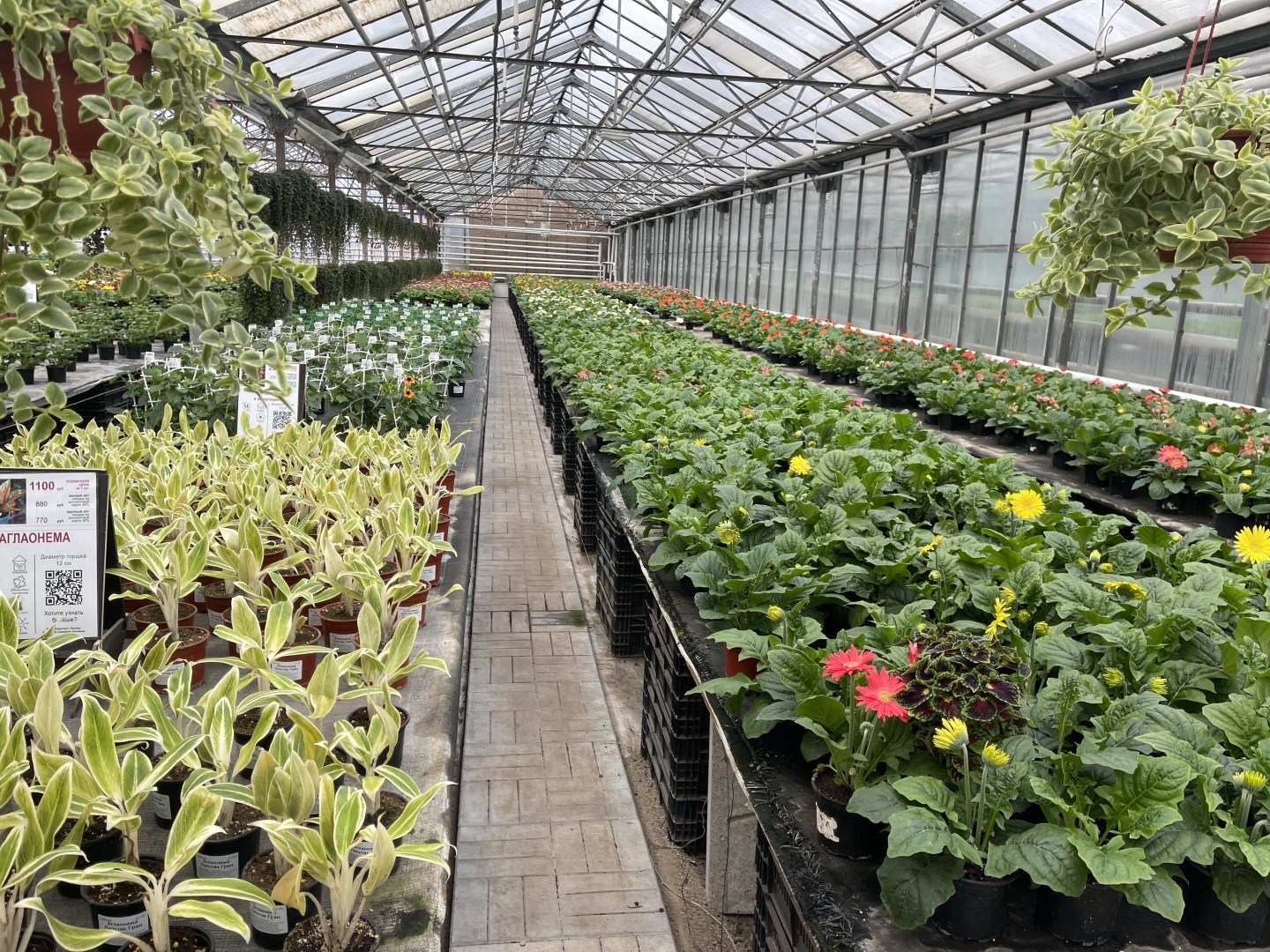 Юристы не только ходят в суд и готовят документы: вчера муж пригласил меня на свидание в необычное место. Фото