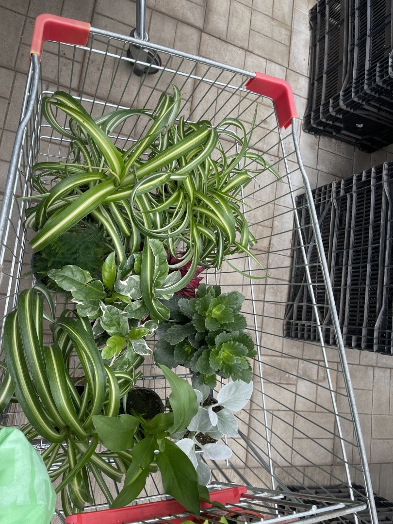 Юристы не только ходят в суд и готовят документы: вчера муж пригласил меня на свидание в необычное место. Фото