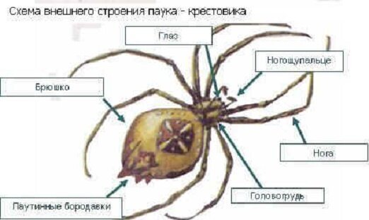 Два по ОГЭ. Почему? Продолжение.