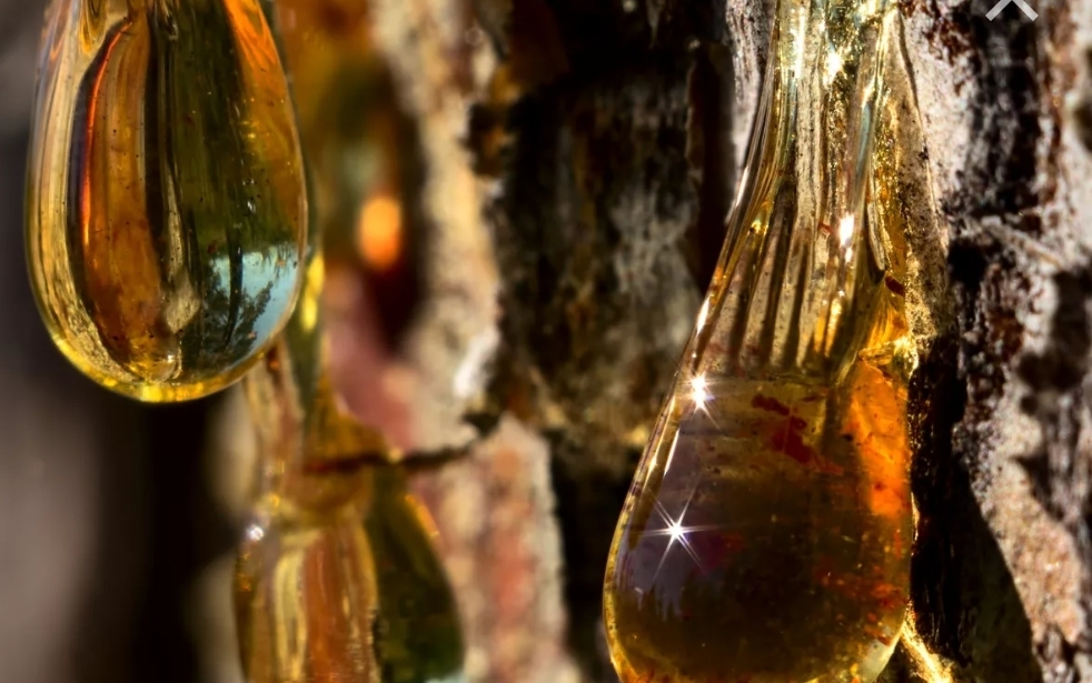 Дары природы или Богиня жизни