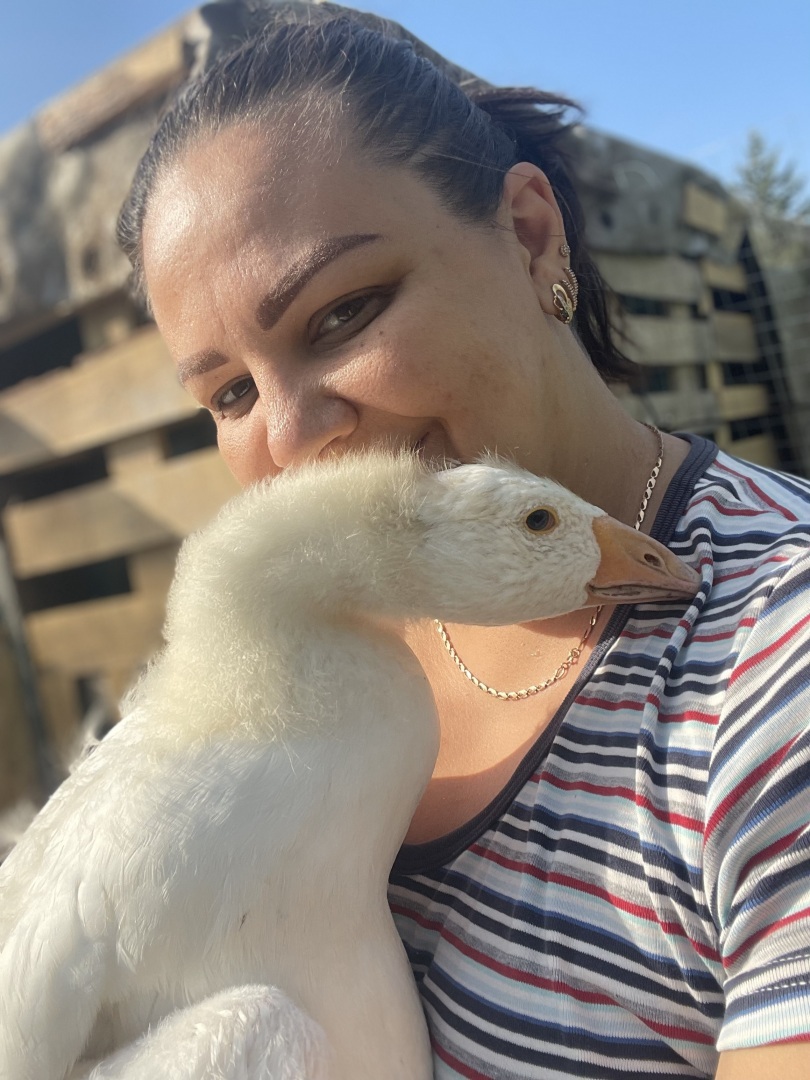 История о том, как я гуся к ветеринару возила…