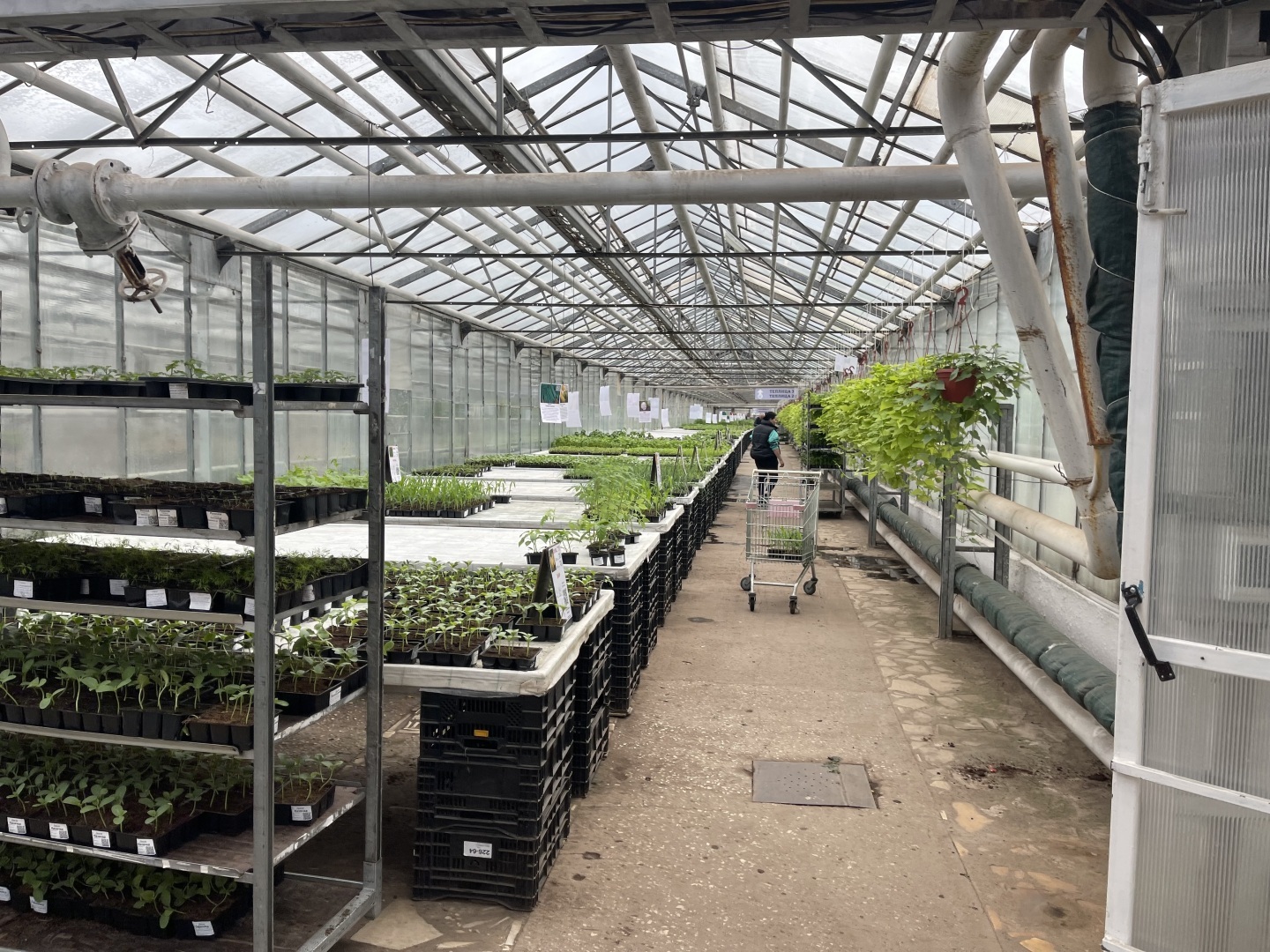 Юристы не только ходят в суд и готовят документы: вчера муж пригласил меня на свидание в необычное место. Фото