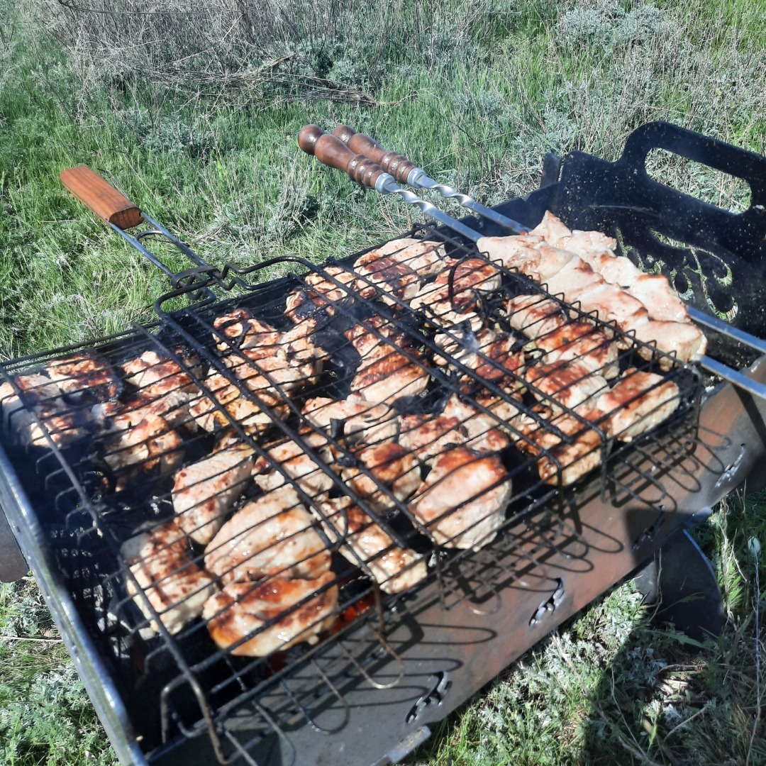 На встречу - к прекрасному. В гостях у тюльпанов. История одного апрельского дня.