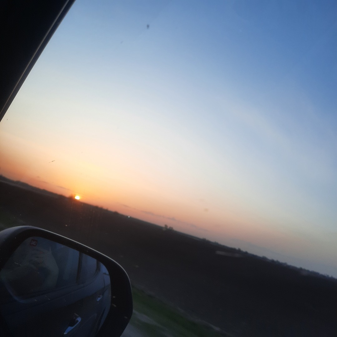 На встречу - к прекрасному. В гостях у тюльпанов. История одного апрельского дня.