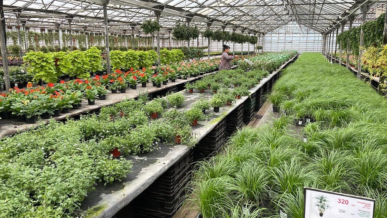 Юристы не только ходят в суд и готовят документы: вчера муж пригласил меня на свидание в необычное место. Фото