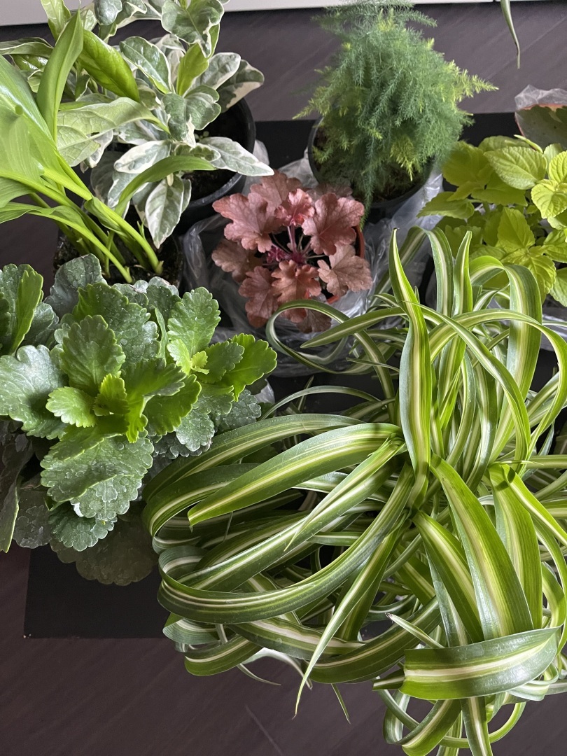 Юристы не только ходят в суд и готовят документы: вчера муж пригласил меня на свидание в необычное место. Фото