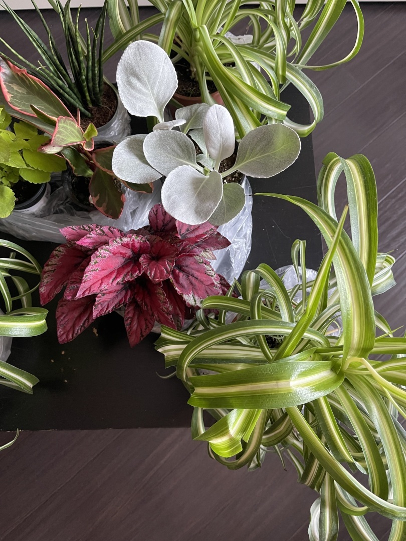 Юристы не только ходят в суд и готовят документы: вчера муж пригласил меня на свидание в необычное место. Фото