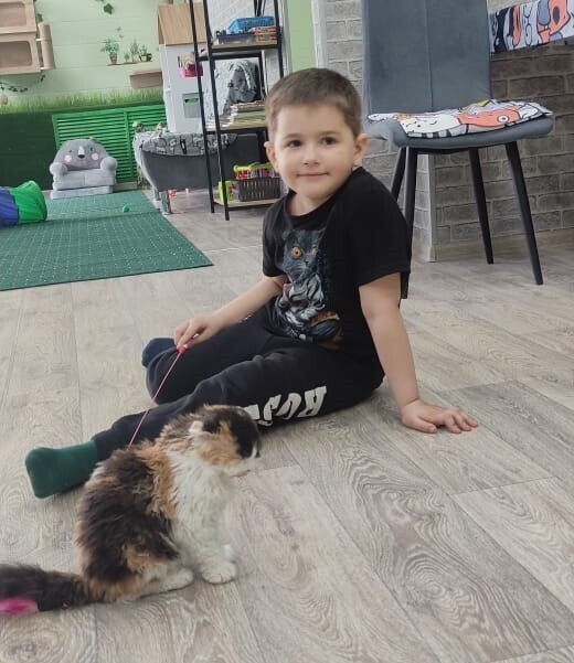 Открыли котокафе. Кафе для тех, кто очень любит котиков. Кототерапия в чистом виде