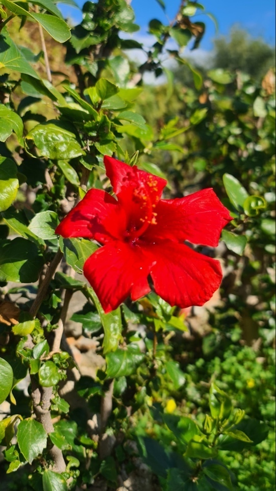 Что нам не понравилось на отдыхе в Турции в межсезонье - 2024 г.