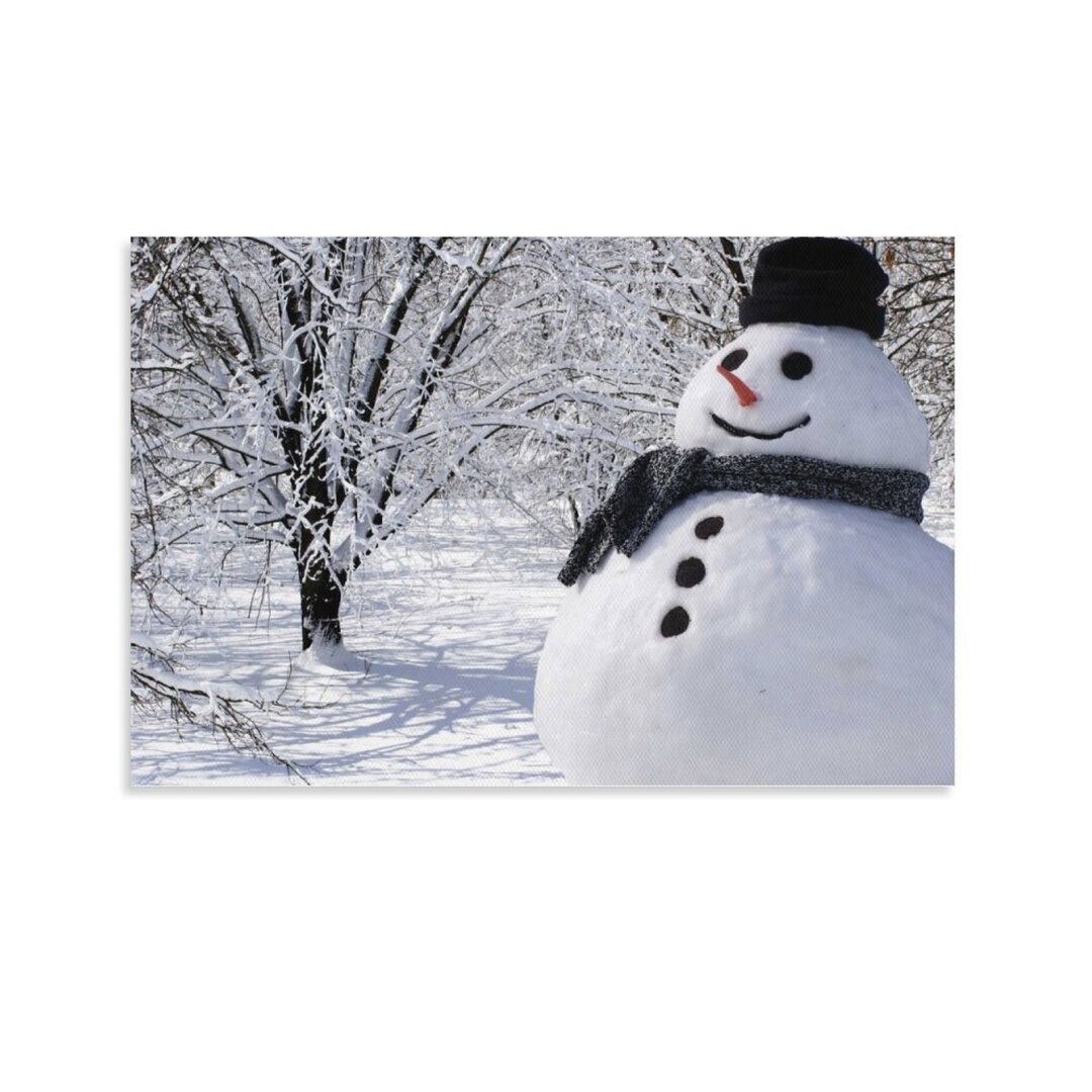 Разнообразие лепки снеговиков в мире