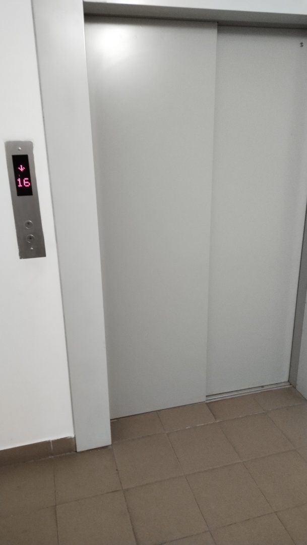 Приключения в подъезде. Основано на реальных событиях. Или нет