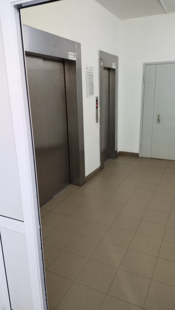 Приключения в подъезде. Основано на реальных событиях. Или нет