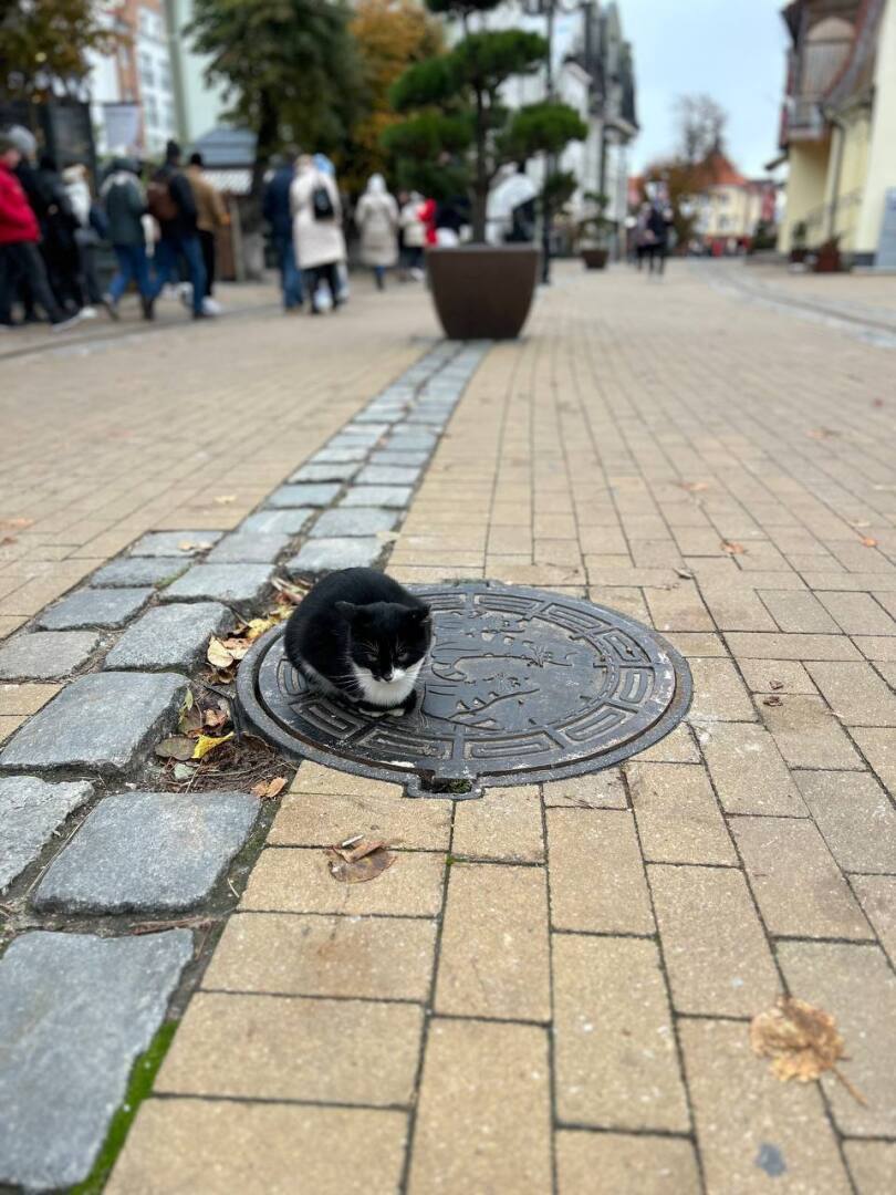 Личный опыт: как меня развели в Калининграде на деньги за фотографии