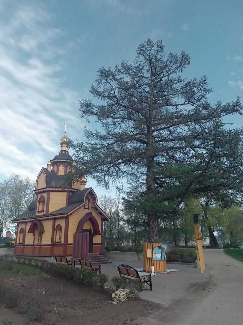 Легенда о двух белых лебедях. И быль о царе и царице