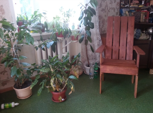 Друзья ходят ко мне в гости с букетами из свеклы и моркови. Бонус: рецепт вкусного салата