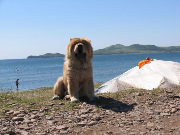 Редкие места России, про которые вы едва слышали.