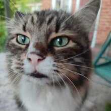 Горин Евгений Петрович, г. Краснодар