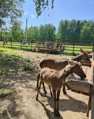 В поискать вдохновения. Мои рецепты