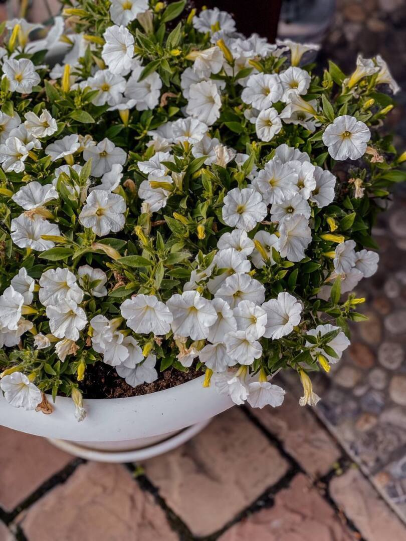 7 причин, по которым вы проживаете жизнь рядового обывателя