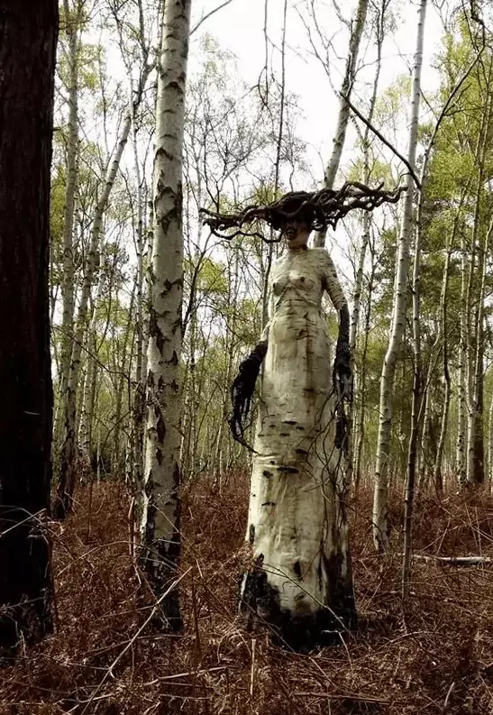 Древесные женщины найдены в лесу