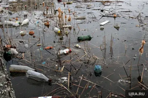 Почему в половодье мусор течет по краям реки, а в межень, наоборот, весь мусор в центре реки?