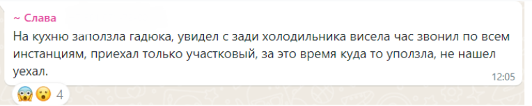 К моему однокласснику в дом заползла гадюка. МЧС приехать отказались. Что делать?