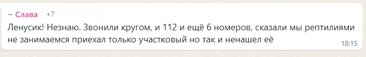 К моему однокласснику в дом заползла гадюка. МЧС приехать отказались. Что делать?
