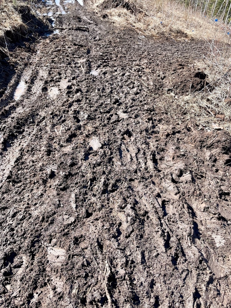 Сила, терпение, воля или грязи по колено! Сумасшедший бег по горам, без еды и воды