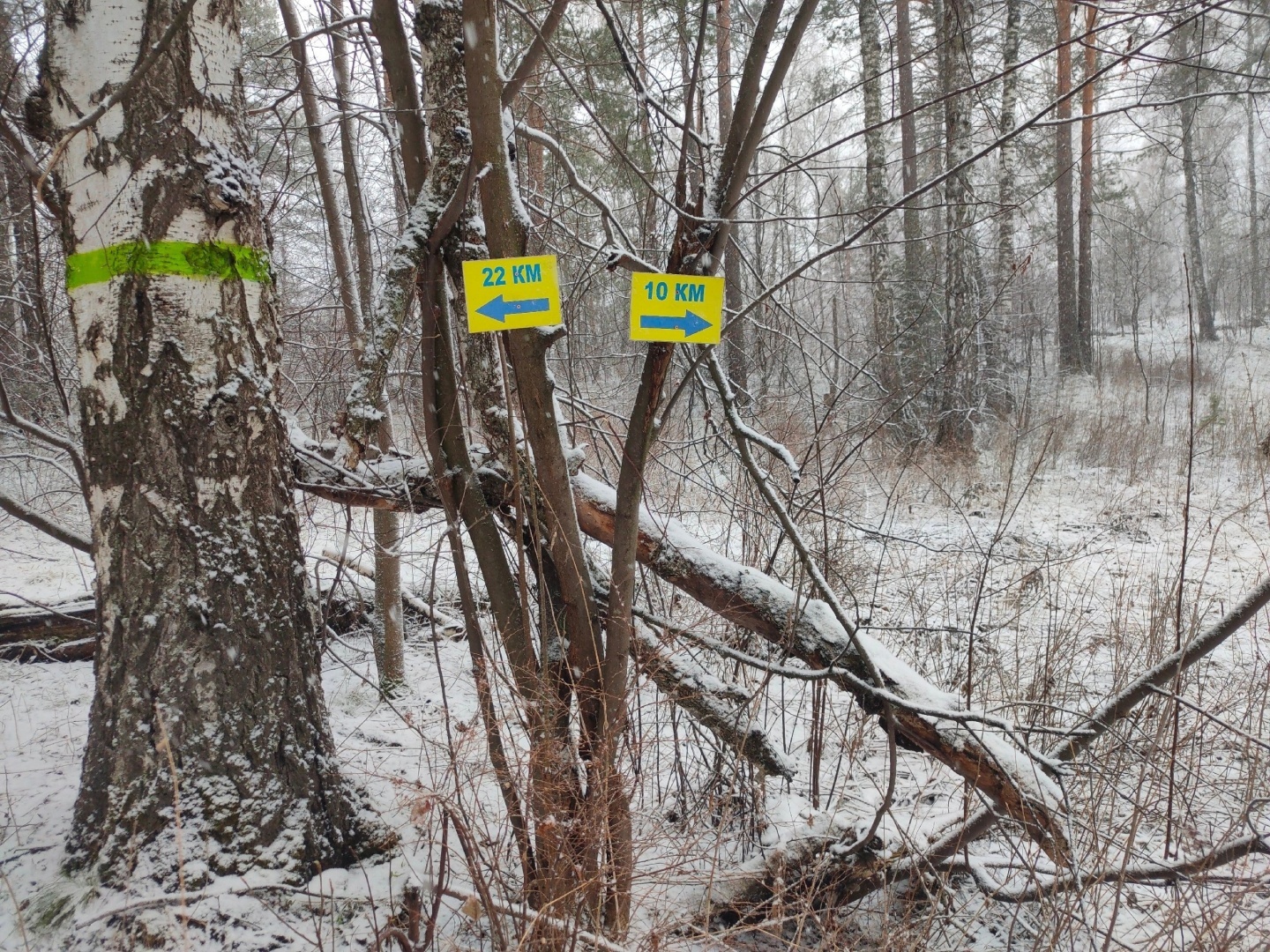 Сила, терпение, воля или грязи по колено! Сумасшедший бег по горам, без еды и воды