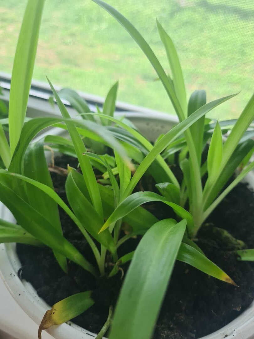 Как проходит второй выходной?