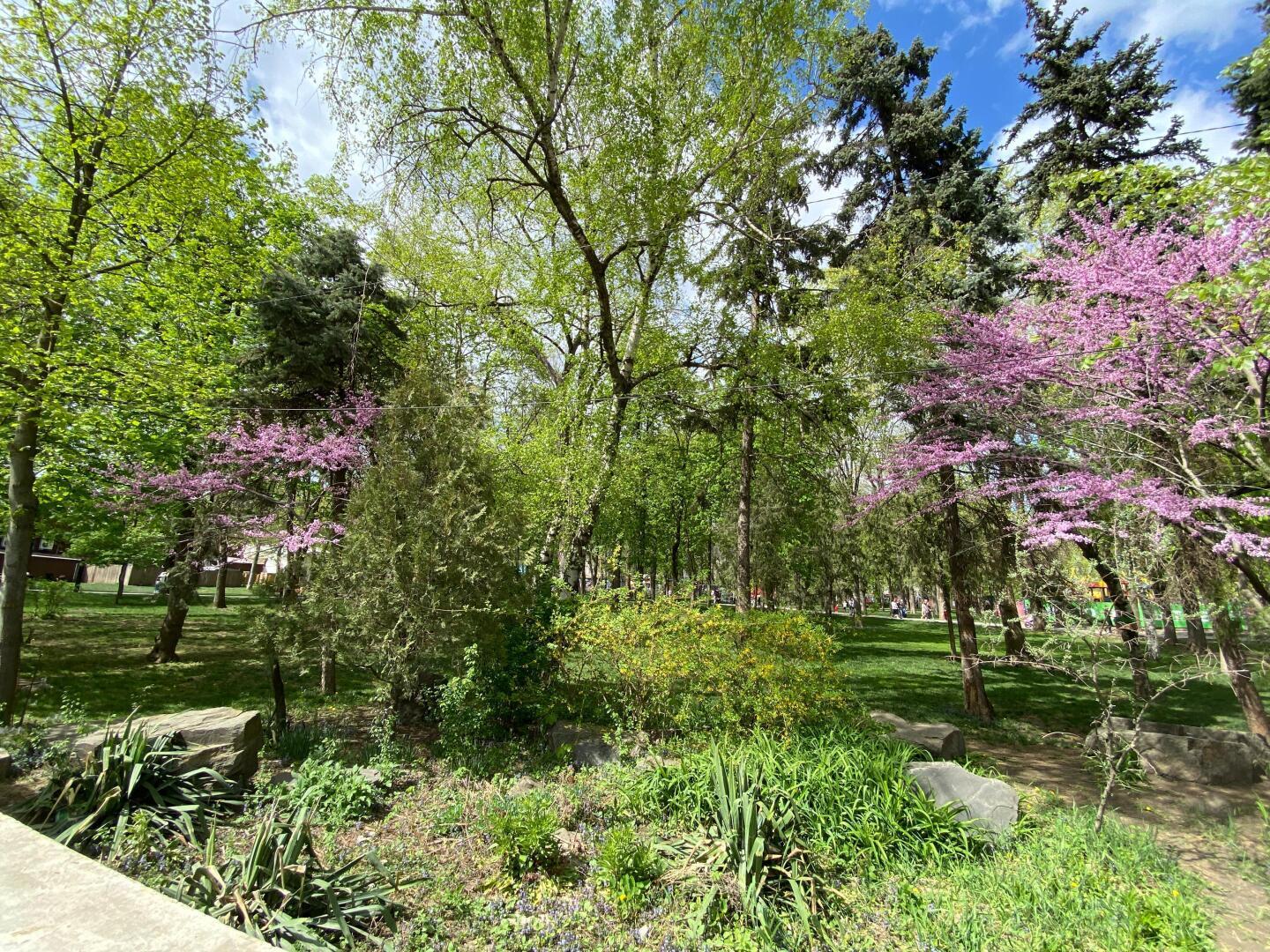 Это происходит впервые в истории. Отменилось время года