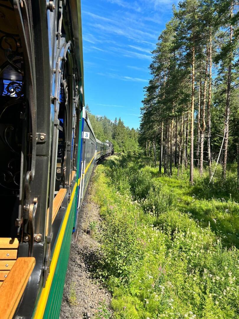 Поездка в Карелию обернулась травмой глаза, которая до сих пор не может пройти