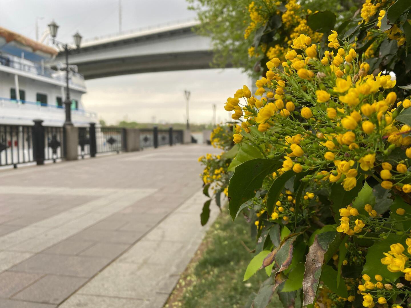 Это происходит впервые в истории. Отменилось время года