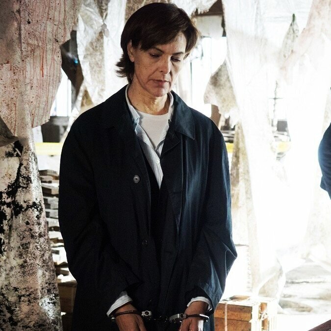 Шикарные детективные сериалы прямиком из Франции. Вы не пожалеете посмотрев эти сериалы.