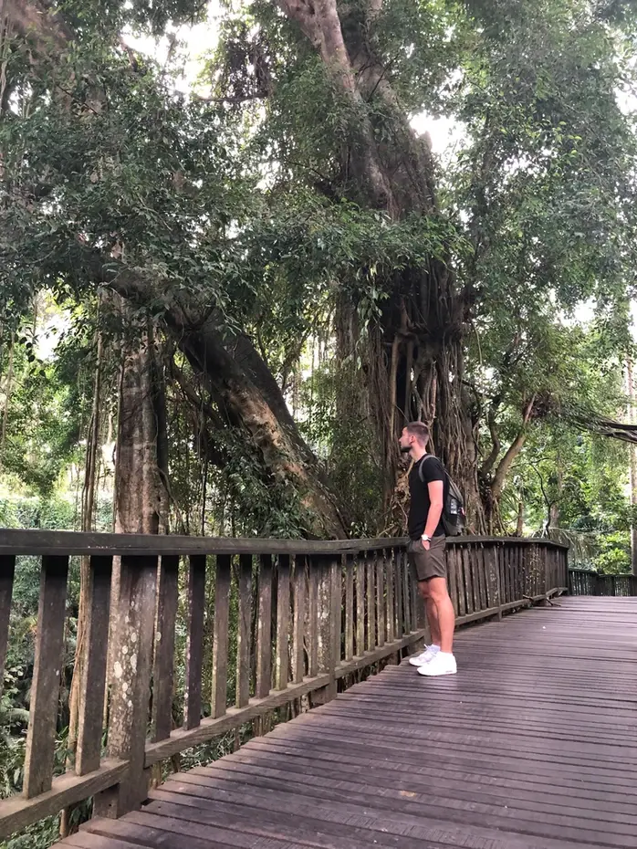 Незабываемое путешествие на Бали