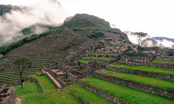 Как картофель изменил историю Земли