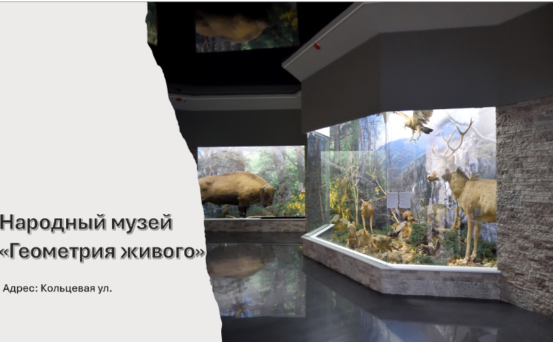 Какие музеи и театры есть в Майкопе: выбор мест для посещения